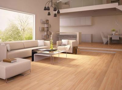 樺木1.jpg 樺木1.jpg