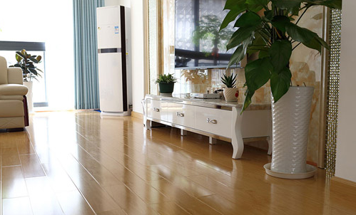 樺木4 (2).png 樺木4 (2).png